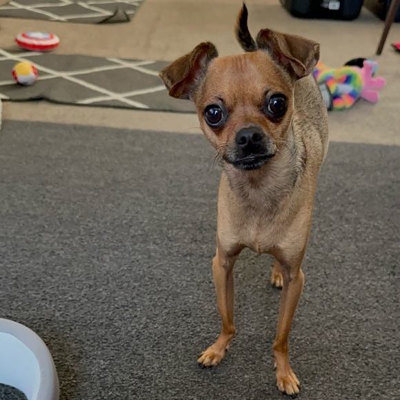 Meet Your Posher - Picture 8 of 16